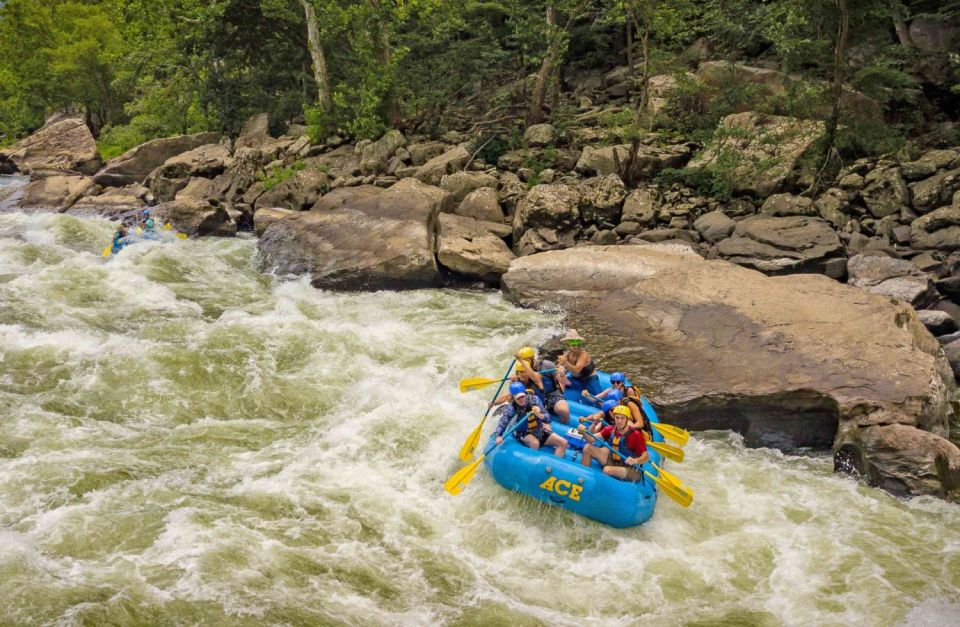 New River Gorge Whitewater Rafting - Lower New Half Day - Activity Information