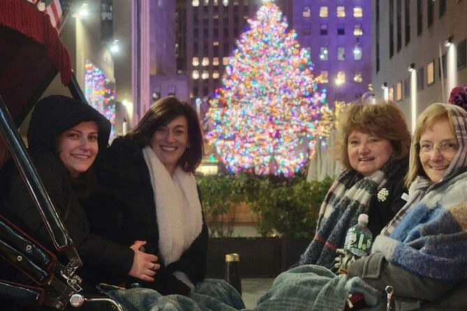 New York City Christmas Lights Private Horse Carriage Ride - Addressing Negative Reviews