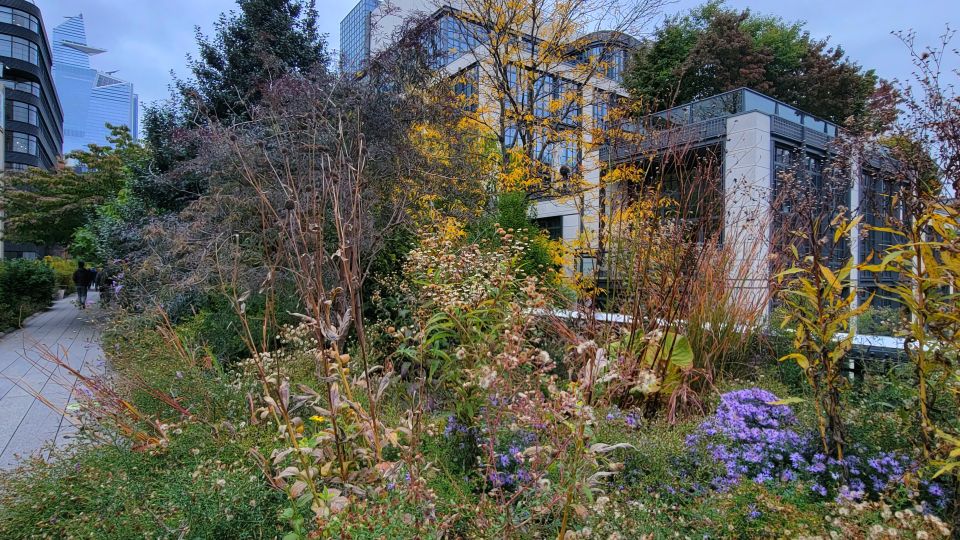 New York City: Secrets Of High Line Park Walking Tour - Experience Highlights