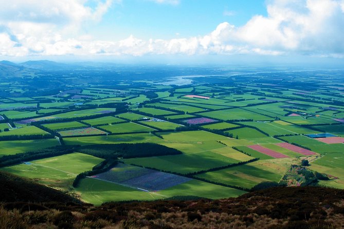 New Zealand Farm & Scenic Day Tour From Christchurch - Overview of the Scenic Experience