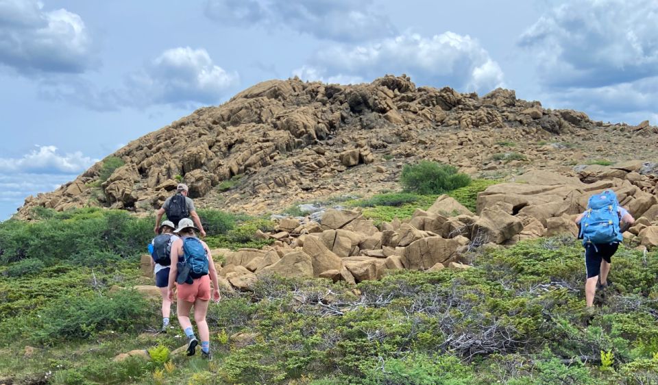 Newfoundland: Blow Me Down Mountains Half Day Hiking Tour - Booking Information