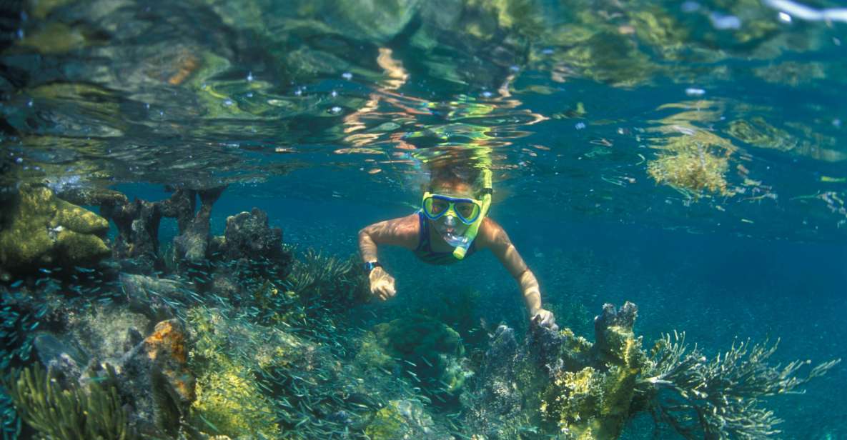Nha Trang: Snorkeling Tour at Coral Reef - Tour Highlights