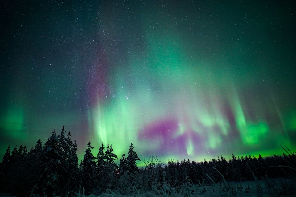 Night Snowshoeing Adventure Under the Northern Lights - Experience Highlights