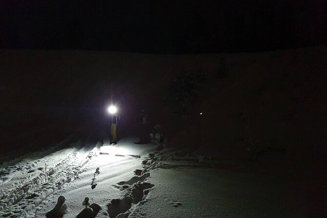 Night Time Ski Tour With Northern Lights Potential - Dress Code