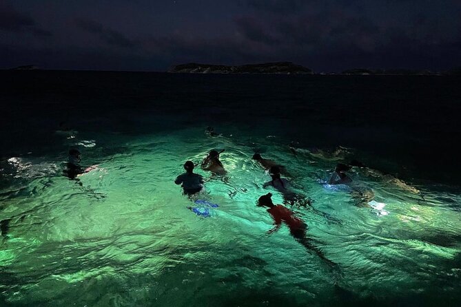 Night-Time Snorkel at Turtletown With Stars, Lights, and Photos - Cancellation Policy