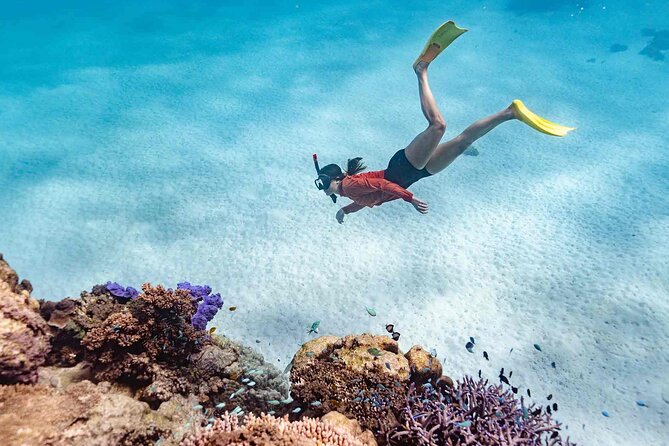 Ningaloo Reef Snorkel Adventure - Cancellation Policy