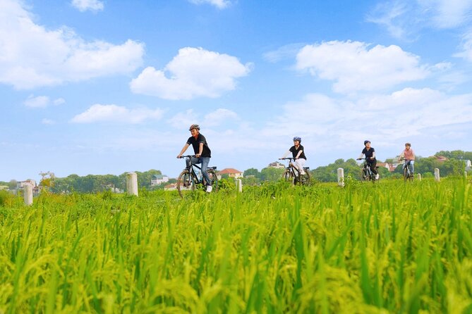 Ninh Binh Full-day at UNESCO Site by A Private Tour From Hanoi - Logistics and Policies