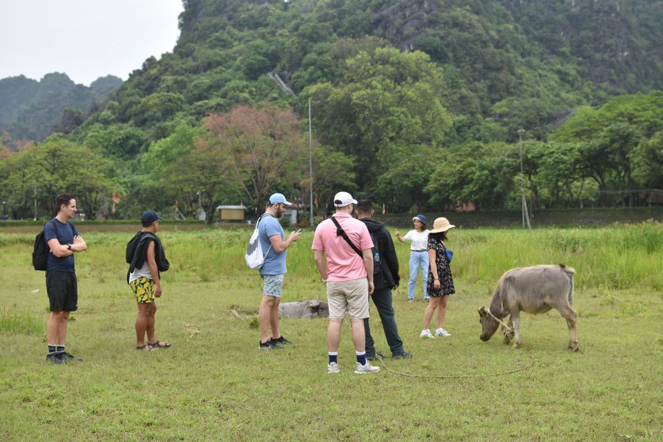 Ninh Binh - Hoa Lu - Tam Coc - Mua Cave Day Trip, Boat, Bike - Inclusions