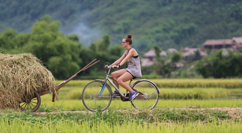 Ninh Binh Small Group From Hanoi: Boat, Bike & Daily Life - Logistics and Pickup Details