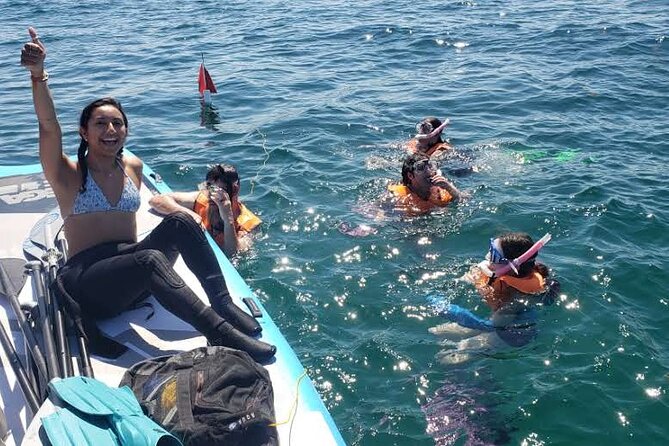 North Miami: Snorkeling By Kayak or SUP Tour - Customer Reviews