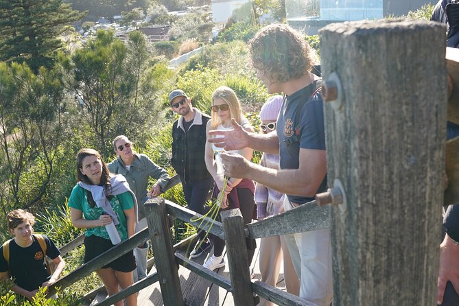 Northern Beaches Surf and Indigenous Guided Tour - Indigenous Culture Insights
