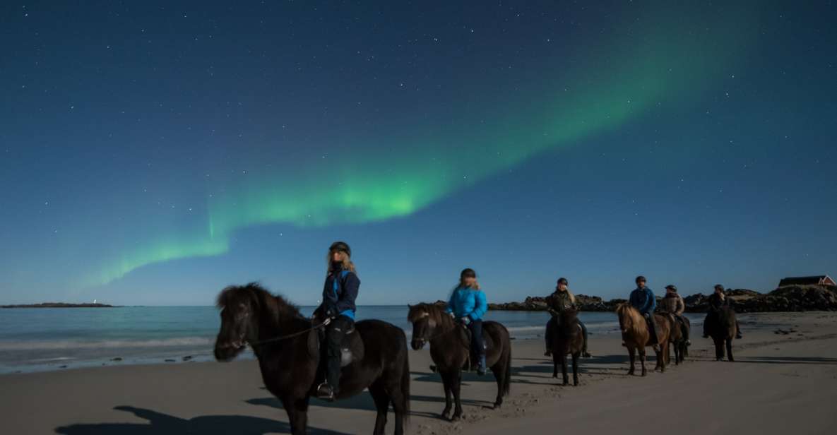 Northern Light on Horseback - Riding Experience