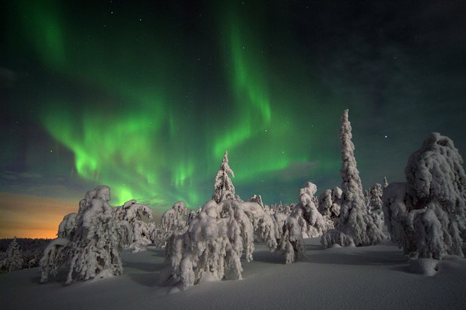 Northern Light Safari by Snowmobiles From Levi - Chase the Aurora Borealis