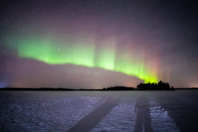 Northern Lights and Barbecue Experience From Rovaniemi - Booking Details