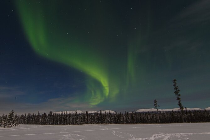 Northern Lights & Aurora Borealis Viewing - Small Groups - Best Time for Northern Lights Viewing
