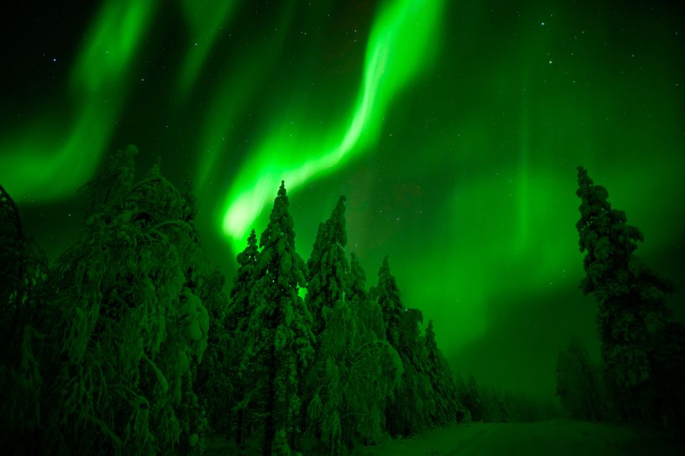 Northern Lights Hunting Adventure in Lapland - Booking Benefits