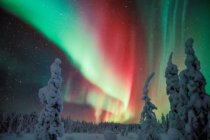 Northern Lights Photography Tour From Rovaniemi - Cancellation Policy and Refunds