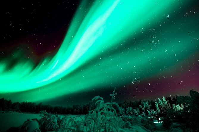 Northern Lights Rovaniemi: Guaranteed Viewing & Unlimited Mileage - Customer Reviews & Company Practices