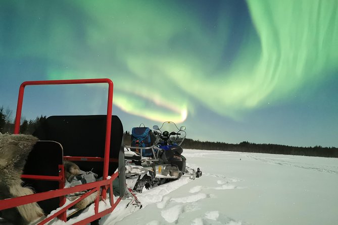 Northern Lights Sledge Ride - Language Diversity Feedback