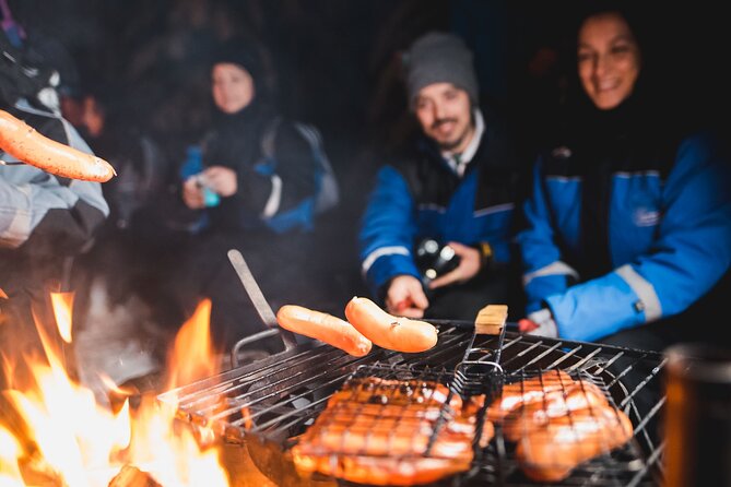Northern Lights Sleigh Ride With Campfire Picnic - What To Expect During the Tour