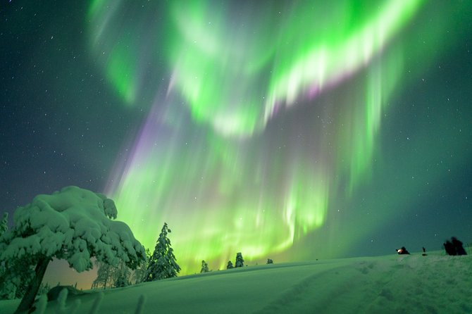 Northern Lights Snowmobile Driving Safari - Tour Inclusions