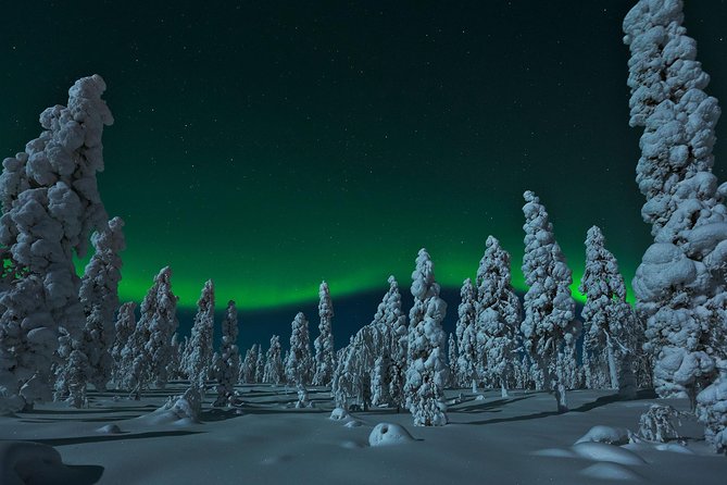 Northern Lights Snowmobile Safari From Rovaniemi With Campfire Picnic - Important Information