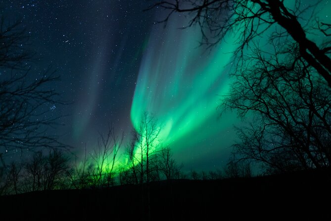 Northern Lights Tour From Kiruna to Abisko With Dinner - Northern Lights Viewing