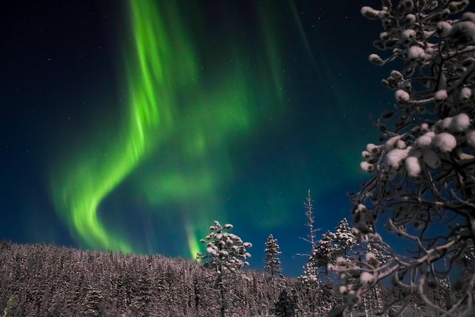 Northern Lights Tour From Rovaniemi With Lappish Picnic (Mar ) - Tour Itinerary Overview