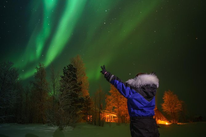 Northern Lights Tour to Lake Inari From Ivalo, Reindeers & Dinner - Itinerary Highlights
