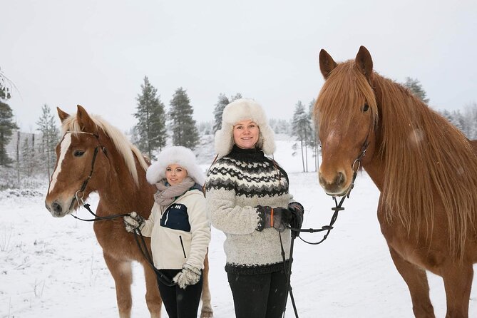 Northern Lights Tour With Finn Horses Sleigh Ride in Lapland - Booking Details