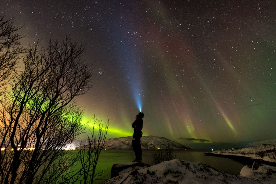 Northern Lights Tromsø - Small Group Tour With Local Guide - Tour Description