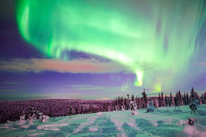Northern Lights Wilderness Small-Group Tour From Rovaniemi - Customer Reviews