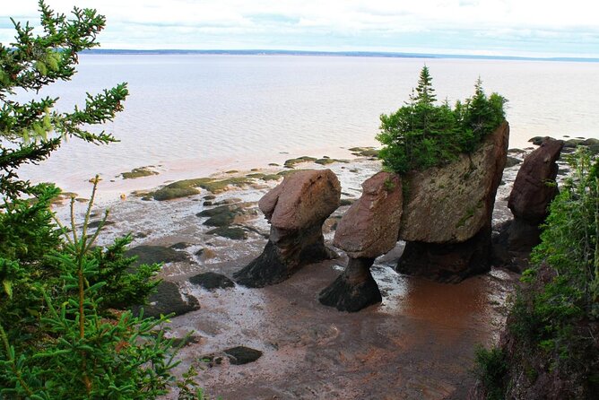 Nova Scotia Day Tour - Visit Peggys Cove, Lunenburg, and the Annapolis Valley. - Traveler Experience Feedback