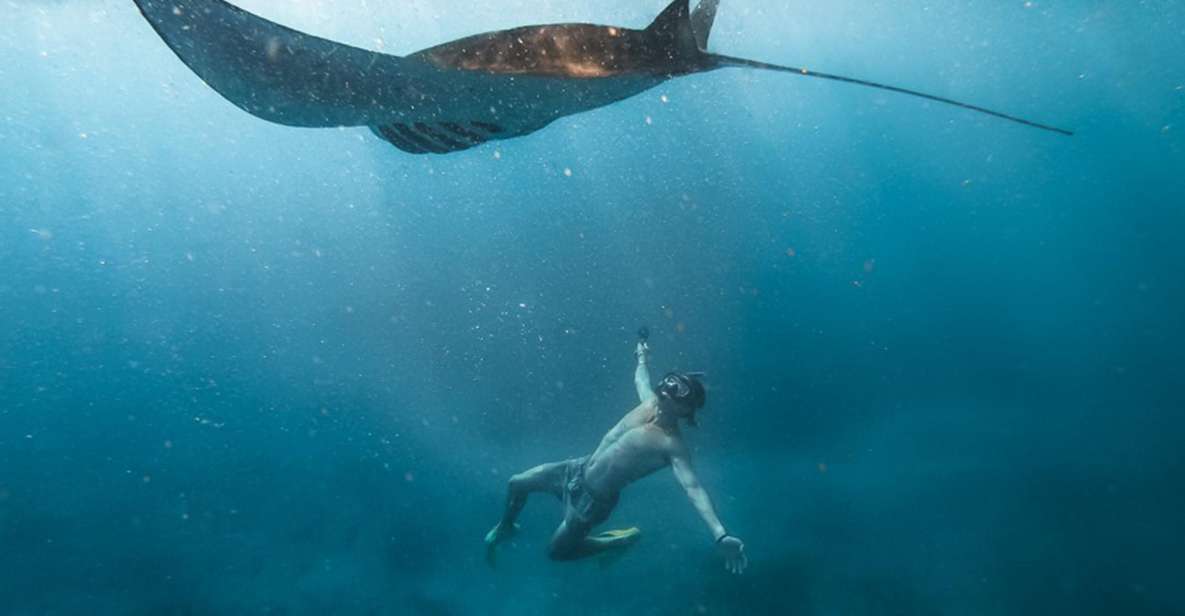 Nusa Penida: Guided Snorkel and Swim With Manta Rays Cruise - Activity Highlights