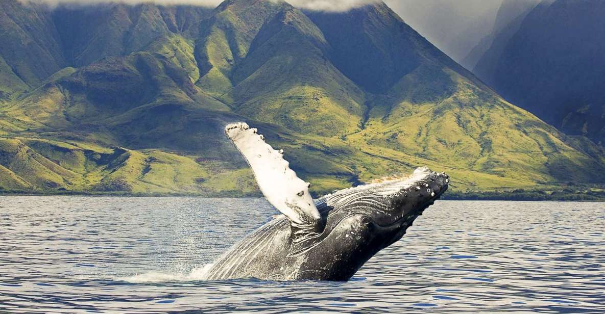 Oahu: Eco-Friendly West Coast Whale Watching Cruise - Stunning Ko Olina Coastline Views