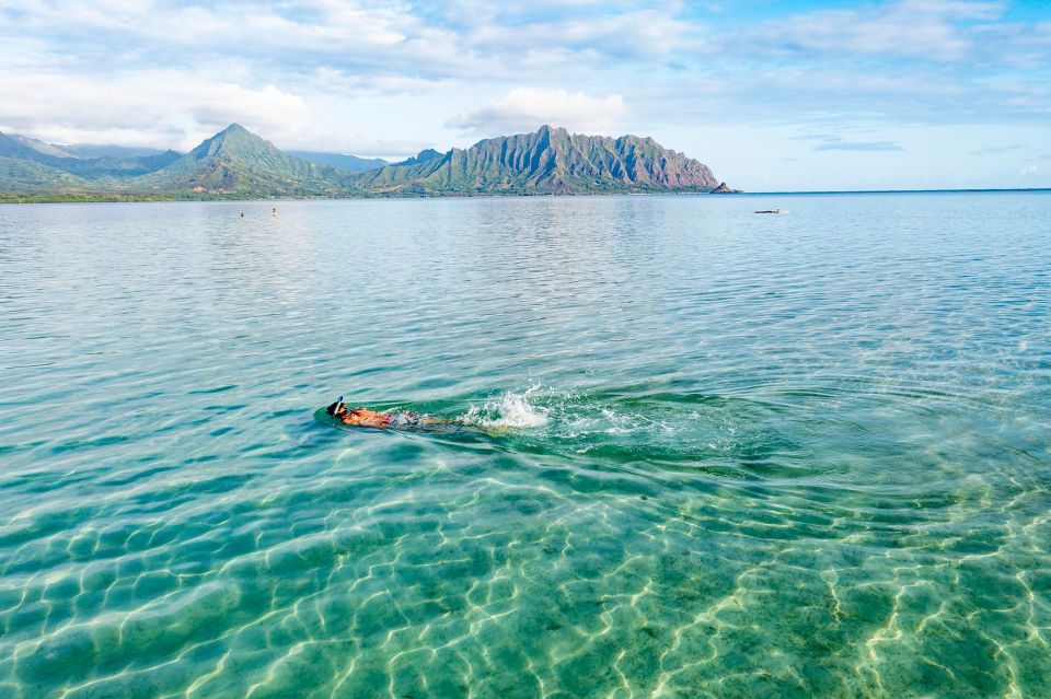 Oahu: Kaneohe Bay Coral Reef Kayaking Rental - Equipment Provided and Requirements