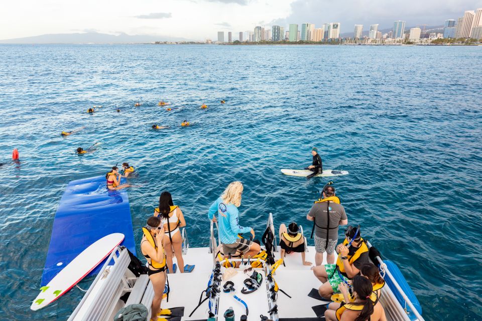 Oahu: Waikiki Turtle Canyons Cruise and Snorkel Excursion - Logistics Details