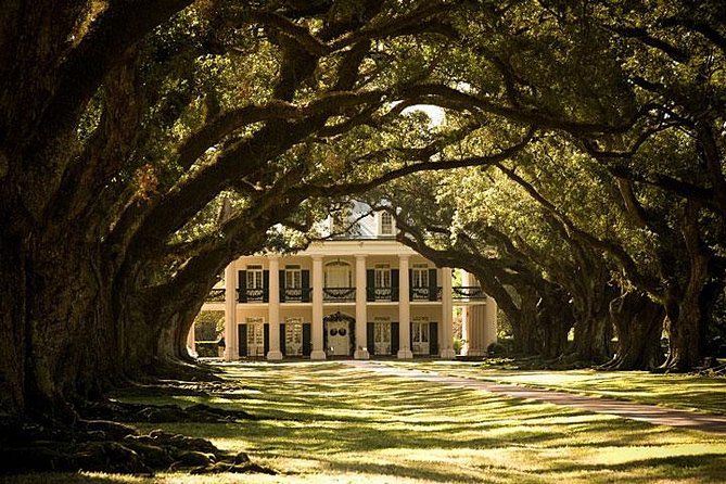 Oak Alley Plantation Half-Day Tour From New Orleans - Cancellation Policy