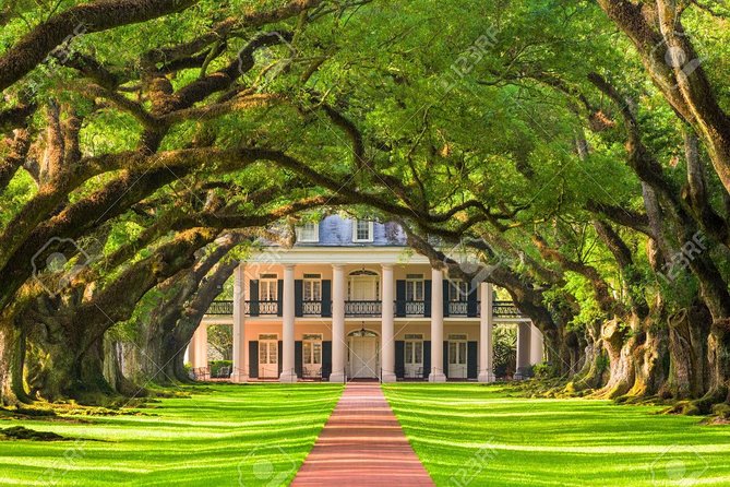 Oak Alley Plantation Tour With Transportation - Tour Highlights