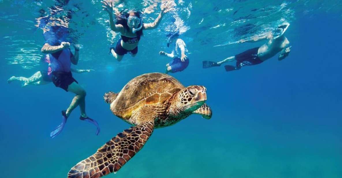 Ocean Reef Snorkeling and Paddleboarding - Experience Highlights