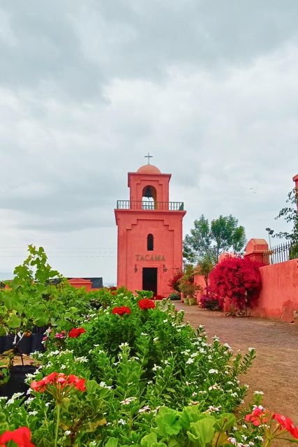 Oenological Route: Tacama, Pisco Museum and Pisco Sour Class - TACAMA: Oldest Winery in the Americas