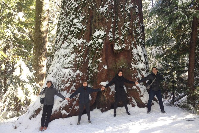 Off-Road Giant Sequoia 4x4 Tour - Tour Details