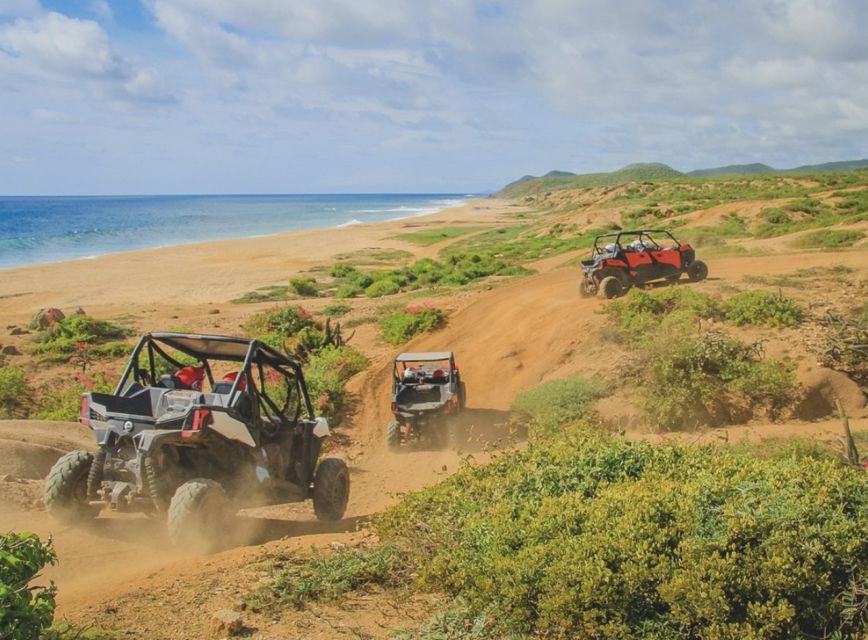 Off-Road Side by Side Tour and Tacos - Details on Duration and Cancellation