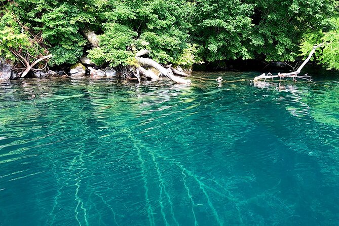 Oirase Gorge and Lake Towada Day Hike With Government-Licensed Guide - Tour Highlights