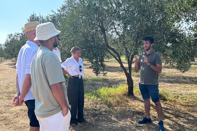 Olive Grove Tour With Wine & Olive Oil Tasting in Balestrate - Inclusions