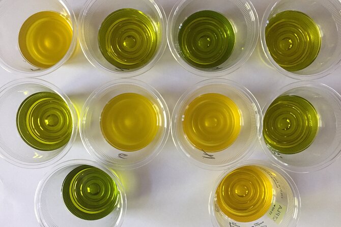Olive Oil Private Full-Day Tour With Tasting in Valencia - Culinary Delights