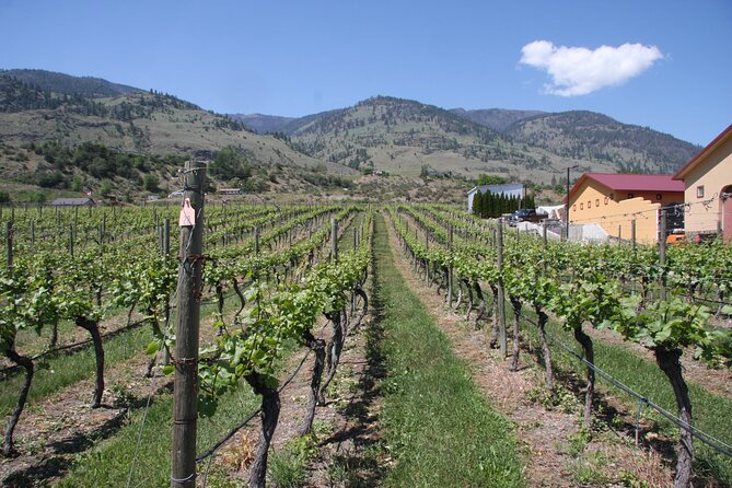 Oliver & Osoyoos Private Wine Tour - Half Day - Itinerary Details