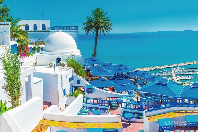 One Day in Tunis : Carthage, Sidi Bou Said, Bardo Museum & Medina - Sidi Bou Said: Charming Blue and White Village