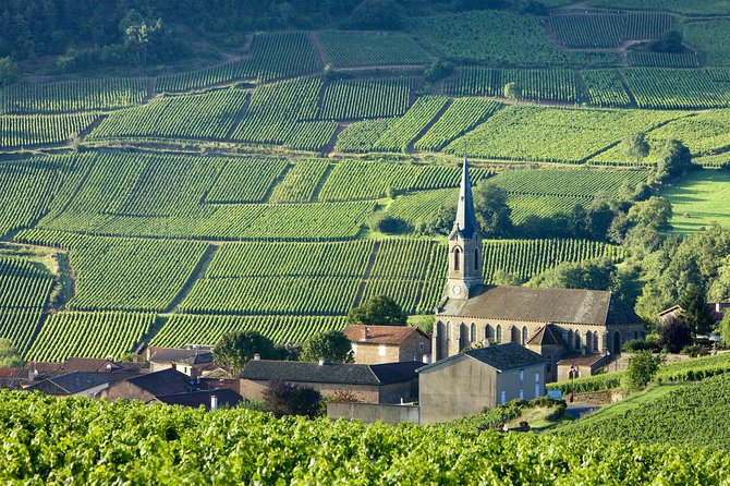 One Day of Shopping of the Best Wines in Burgundy (Day-Trip From Paris) - Wine Tasting in Meursault