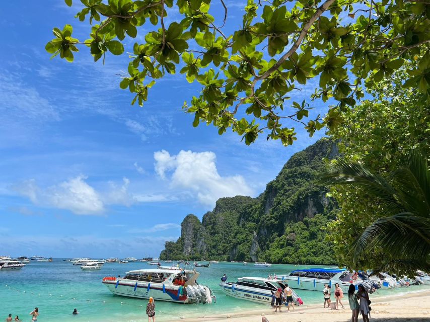 One Day Phi Phi Island by Speed Boat ( Join ) - Highlights of the Tour